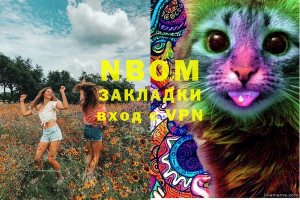 прущие грибы Арсеньев