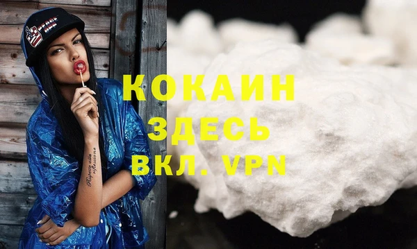 прущие грибы Арсеньев
