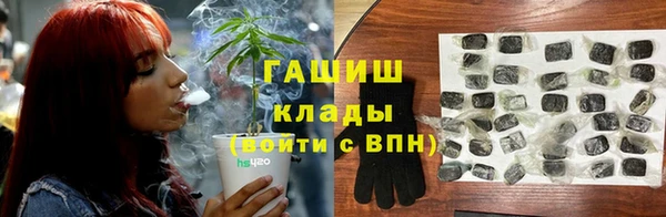 прущие грибы Арсеньев